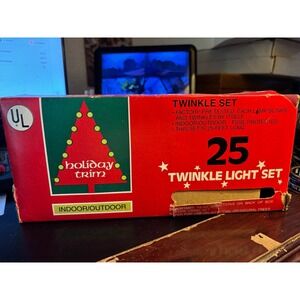 Holiday Trim Indoor/Outdoor 25ft Twinkle Light Set